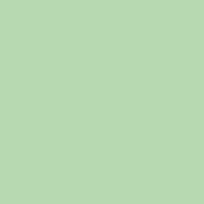 pastellgrün (RAL 6019 matt)